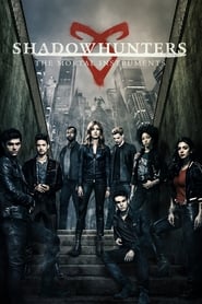 Shadowhunters (2016-)